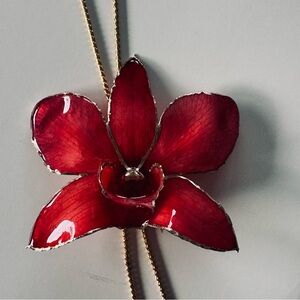 Elegant Red Flower Real Orchid Pendant Necklace Bolo Style Changeable Length